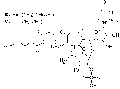 Liposidomycin