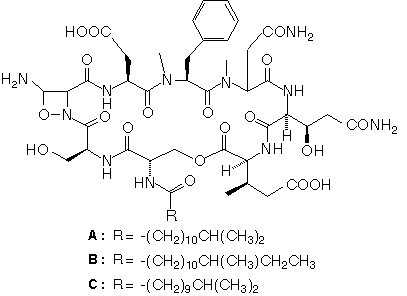 Neopeptin