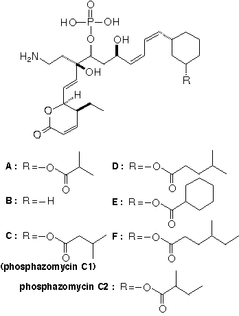 Phoslactomycin
